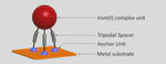 Thiocyanate Anchors for Salt-like Iron(II) Complexes on Au(111): Promises and Caveats