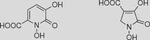 “… and honour their art!” – Evaluation of Historical and New Routes to 1,5-Dihydroxy-6-oxo-1,6- dihydropyridine-2-carboxylic Acid and 1,3-Dihydroxy-2-oxo-3-pyrroline-4-carboxylic Acid